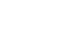 Logo Bridge Immigration